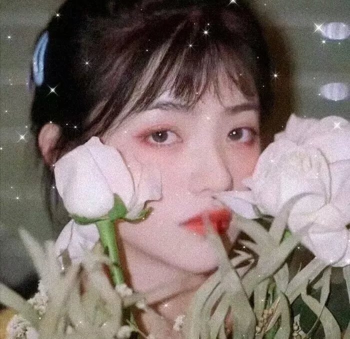 拉链